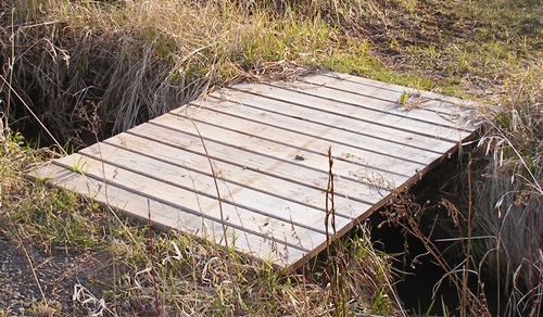 deer hunting bridge