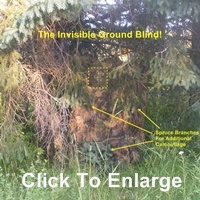 hunting ground blinds