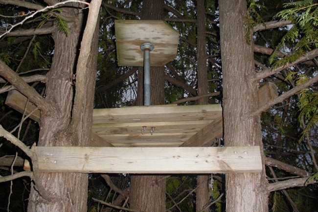 How to Build Wooden Deer Tree Stands