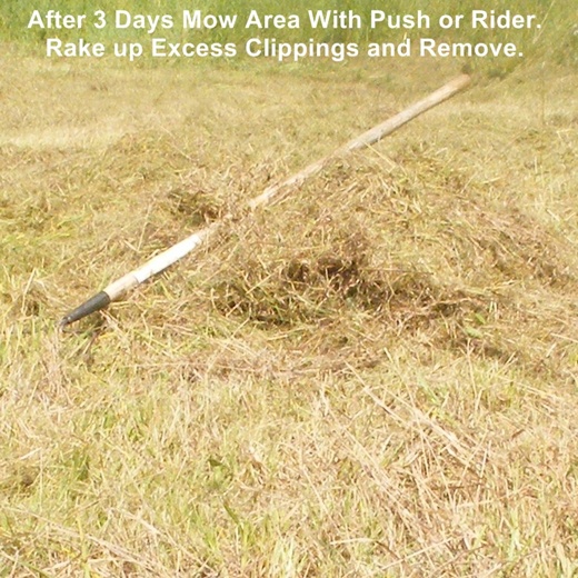 deer food plot