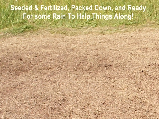 deer hunting plot