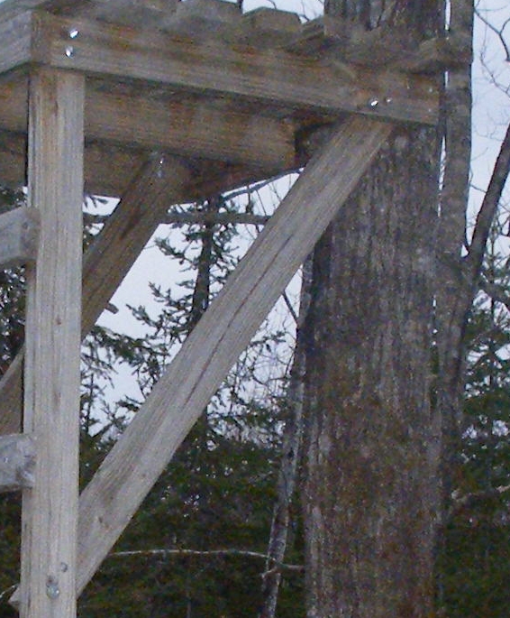 Wooden Ladder Stand Designs http://www.freedeerstandplans.com/assemble 
