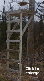 ladder deer stand