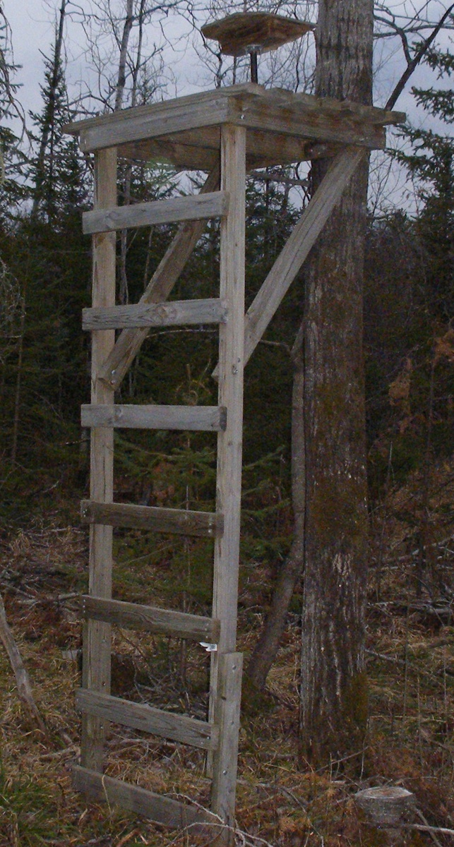 Free Ladder Deer Hunting Stand Plans - Economical and Easy to Build!