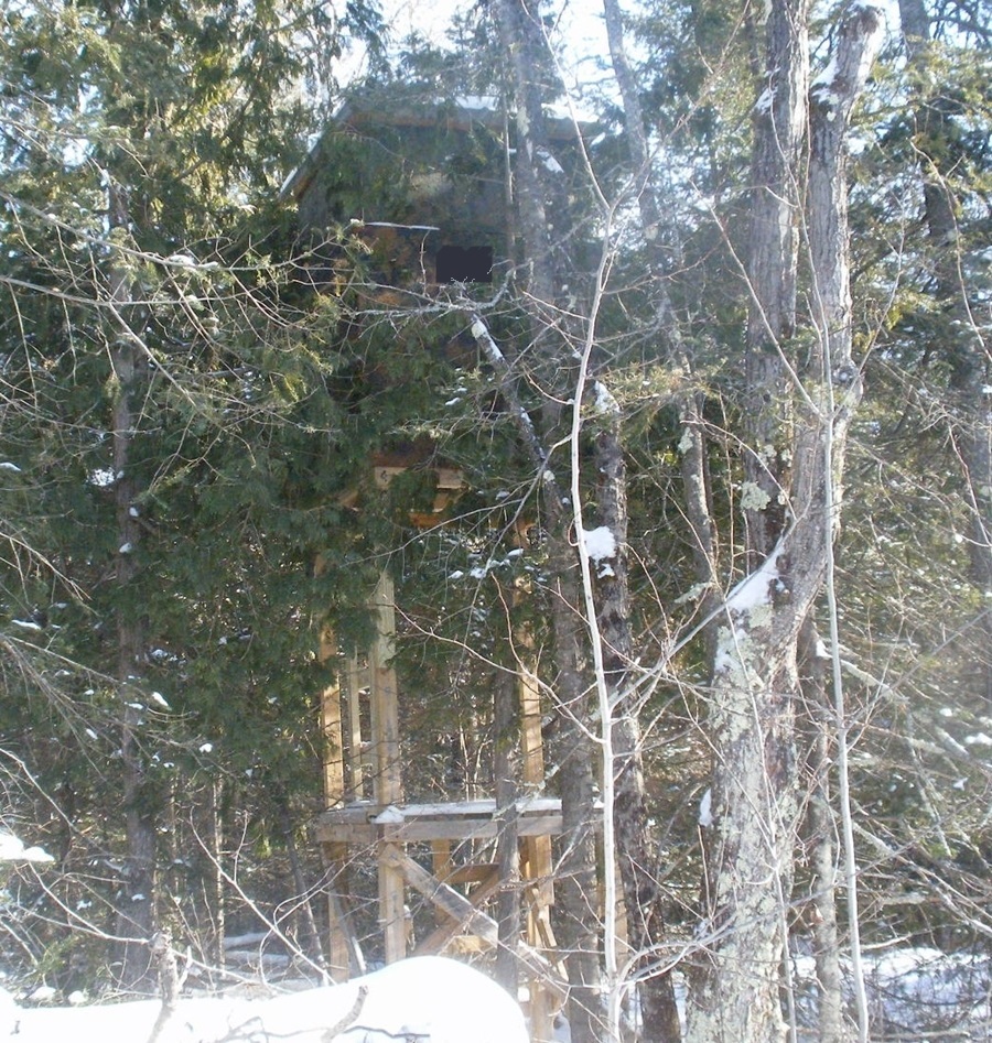 Tower Deer Hunting Stand Plans